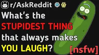 The STUPIDEST STUFF that WILL ALWAYS Make You LAUGH!!? [NSFW] (Reddit | AskReddit)