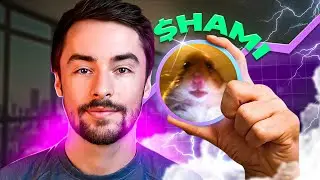 Running a Multi-Million Dollar Solana Meme Coin Project ($HAMI Update 9)