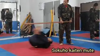 Taihenjutsu kaiten