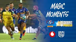 Magic moments: DHL Stormers v Zebre