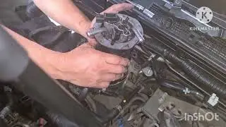 Replace Fuel filter Nissan Navara Calibre 2017 #fuelfilter #nissannavara #video #viral