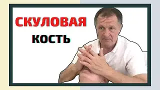 КОРРЕКЦИЯ СКУЛОВОЙ КОСТИ. ОСТЕОПАТИЯ. ОБУЧЕНИЕ ОСТЕОПАТИИ. ПРИКЛАДНАЯ КИНЕЗИОЛОГИЯ.