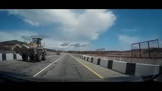 Олень перебегает дорогу