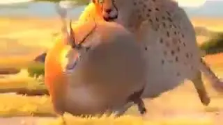If animals were round guessed what will be happened