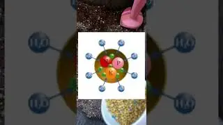 Как применять осмокот 