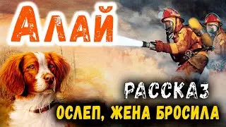 ✔🎄Пожарник ослеп, его бросила жена..Вы пожалеете, если не услышите эту историю🎄 РАССКАЗ