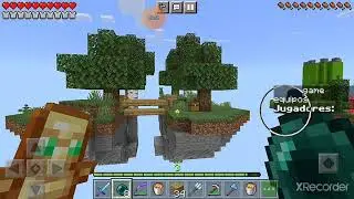 Gioco una sky block con mio fratello (muoio in modo umiliante)