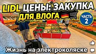 ЦЕНЫ В ГЕРМАНИИ 2026: Закупка в Lidl на электроколяске 🛒🇩🇪 