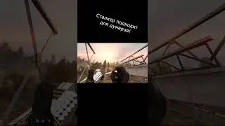 Сталкер - пристанище для Думера! 