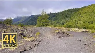 Fertile Mountain Valley Plane Nature Walk 4K (With Ambient Nature Sounds And Music)