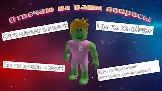 Отвечаю на ваши вопросы.
