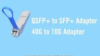 10Gtek QSA (QSFP to SFP Adapter)