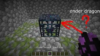 (22w44a) what if you put an Ender Dragon egg in the Spawner?
