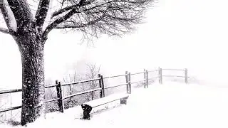 Snow Blizzard | 4 Hours of Snow Falling #whitenoise #ruidoblanco #snowstorm