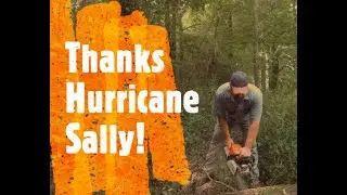 Mending Fences due to Hurricane Sally