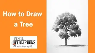 Best Drawing Guide on How to Draw a Tree | Learn to Draw a tree | Hyper Realistic Pencil Sketch