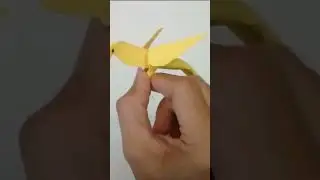 Paper Parrot ORIGAMI