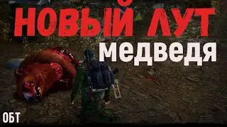 Новый лут медведя -что будет с головой медведя - (сервер ОБТ) сталкер онлайн.Stay out