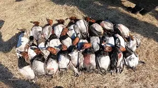 hunting in Siberia