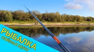 Рыбалка. Наконец-то поймал хоть одного годного морского зверя в этом году.