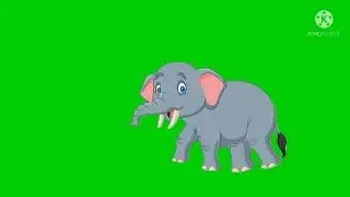 Walking  Elephant Green screen