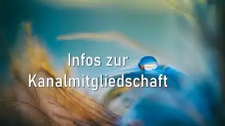 Infos zur Kanal Mitgliedschaft