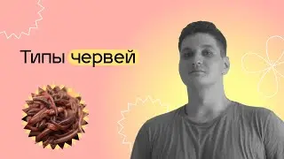 Типы червей. ЕГЭ БИОЛОГИЯ