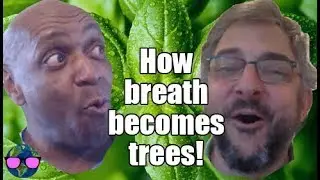 What plants do with our co2