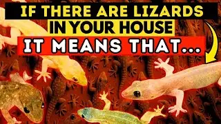 Discover the Spiritual Meaning of LIZARDS in Your Home. It's Amazing! 🦎🏠
