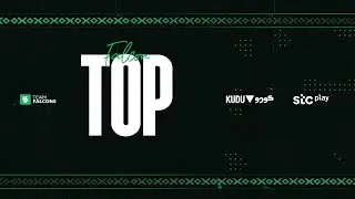 SCRIM HIGHLIGHT