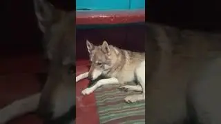 30 июня 2023 г.