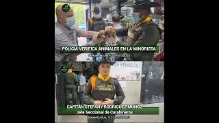 En la Plaza Minorista de Medellín, verificamos las condiciones de animales de compañía,