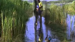 Vransko jezero