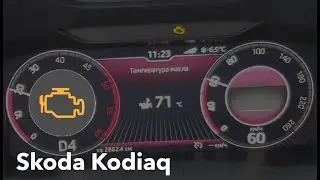 Skoda Kodiaq check engine light came on, we're changing the spark plug, we're taking a Tiguan for...