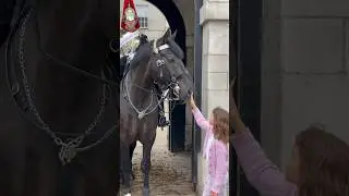 Horse Loves Kids
