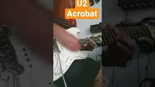 u2 - acrobat solo cover