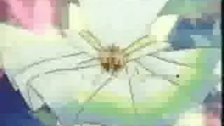 Sailor Moon, techno theme remix