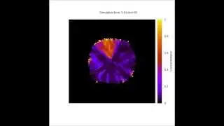 Phase variation simulation output visualisation (rectangular geometry)
