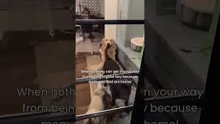 🤪🤪🤪
