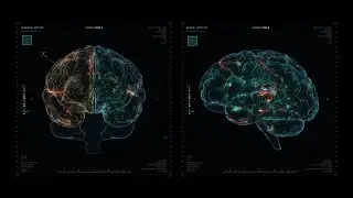 PATIENT | Medical FUI Process Montage