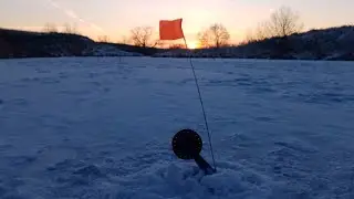 Fishing with tip-ups. I set up tip-ups in a new place and was surprised....