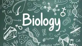Biology and its branches | What is biology | Zoology, Botany and Microbiology