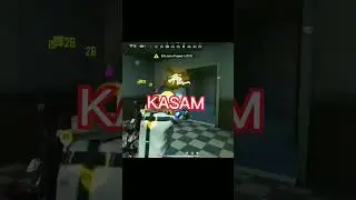 expert gaming expose