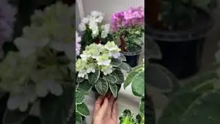 Обзорчики 28.04 ч.1