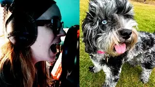 I can’t record at home without doing this first