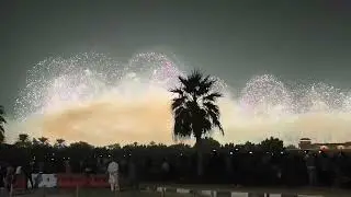 Happy New Year 2025  #shortsfeed #travel #newyear #newyear2025 #fireworks