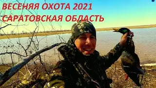 Охота на гуся и селезня 2021. Первый выезд. Саратовская область / MAX HUNTER