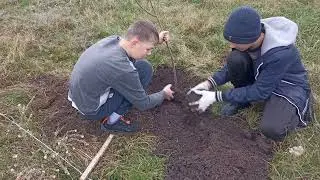 ТОС "Бабочка" с. Бабка А-Донского сельского поселения благоустраивает Сад Памяти