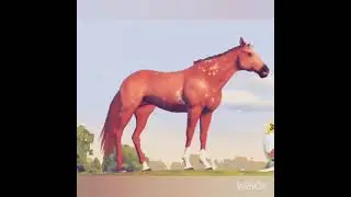 ♡трейлер♡  ♤ легенда о Рыжем Альтаире ♤ чит. Опис.