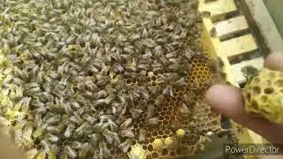 Не печатают магазин?! Загляни в гнездо!!!